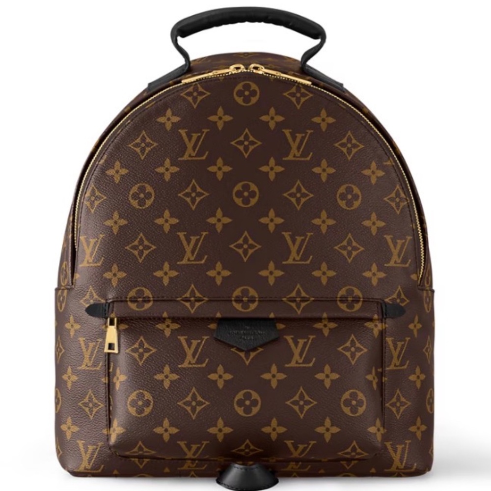 Louis Vuitton Monogram Palm Springs Backpack MM